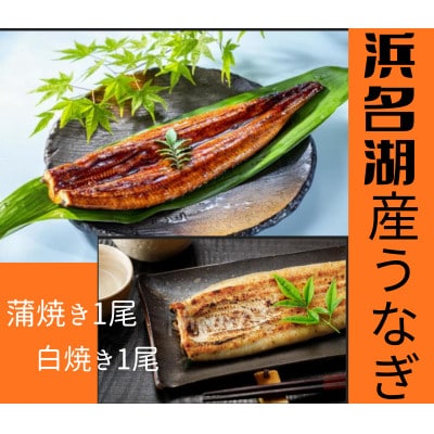 浜名湖産うなぎ　長蒲焼き1尾　白焼き1尾　一度で二つの味を堪能!　タレ・山椒付き