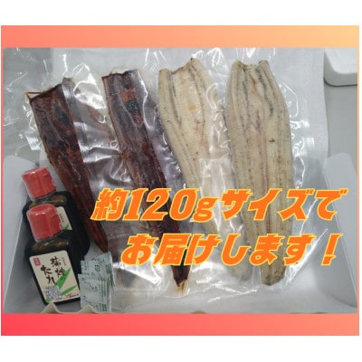 浜名湖産うなぎ　長蒲焼き2尾　白焼き2尾　一度で二つの味を堪能!　タレ・山椒付き