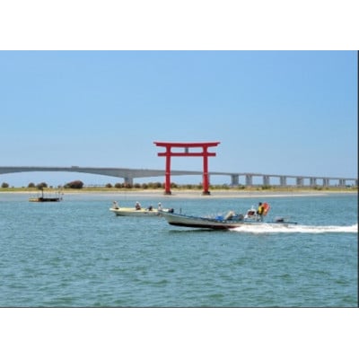 浜名湖産うなぎ　長蒲焼き2尾　香りと黄金色が映える一品!　個包装パック　タレ・山椒付き