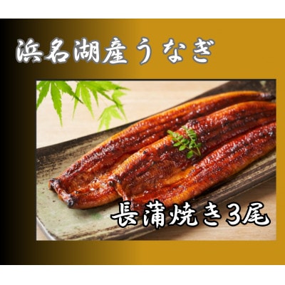 浜名湖産うなぎ　長蒲焼き3尾　香りと黄金色が映える一品!　個包装パック　タレ・山椒付き
