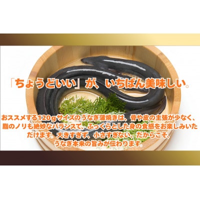 浜名湖産うなぎ　長蒲焼き3尾　香りと黄金色が映える一品!　個包装パック　タレ・山椒付き