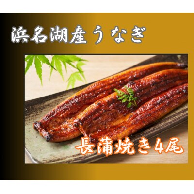 浜名湖産うなぎ　長蒲焼き4尾　香りと黄金色が映える一品!　個包装パック　タレ・山椒付き