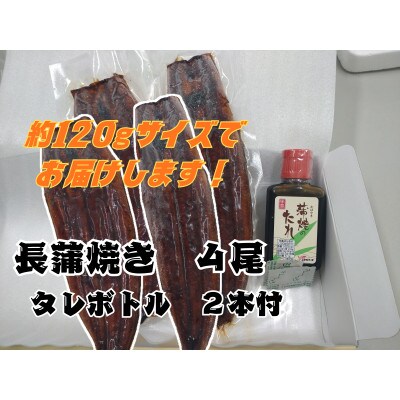 浜名湖産うなぎ　長蒲焼き4尾　香りと黄金色が映える一品!　個包装パック　タレ・山椒付き