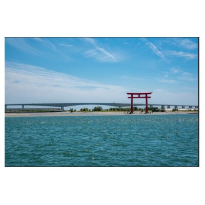 浜名湖産うなぎ　長蒲焼き4尾　香りと黄金色が映える一品!　個包装パック　タレ・山椒付き