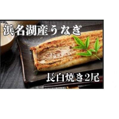 浜名湖産うなぎ　白焼き2尾　食べ応えの堂々たる一尾をお好みの味で!　個包装パック　蒲焼きタレ、山椒付