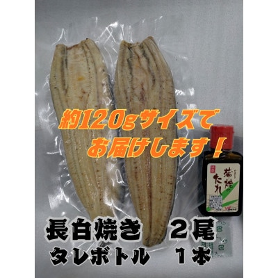 浜名湖産うなぎ　白焼き2尾　食べ応えの堂々たる一尾をお好みの味で!　個包装パック　蒲焼きタレ、山椒付