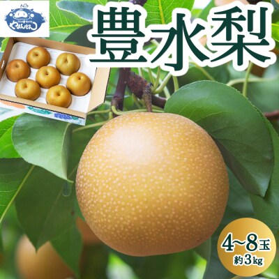【先行受付】やまんどん 豊水梨 4玉から8玉 (約3kg) 2025年8月下旬から9月上旬 出荷予定