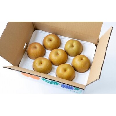 【先行受付】やまんどん 豊水梨 4玉から8玉 (約3kg) 2025年8月下旬から9月上旬 出荷予定