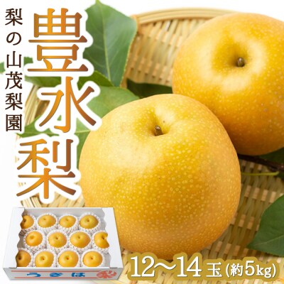 【先行受付】梨の山茂梨園 豊水梨12玉から14玉 (約5kg)