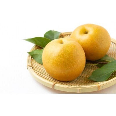 【先行受付】梨の山茂梨園 豊水梨12玉から14玉 (約5kg)