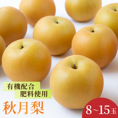 【先行受付】春光園 秋月梨 8玉から15玉 2025年8月下旬から9月上旬お届け