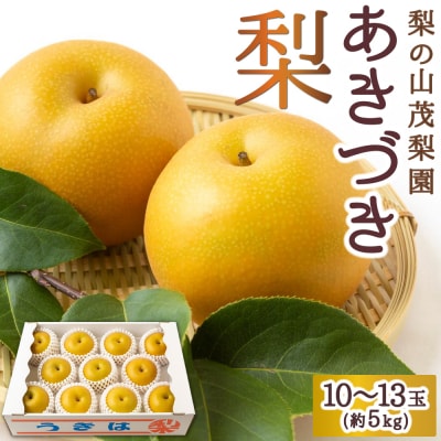 【先行受付】梨の山茂梨園 あきづき梨 10玉から13玉 (約5kg)