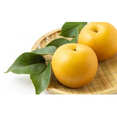 【先行受付】梨の山茂梨園 あきづき梨 10玉から13玉 (約5kg)