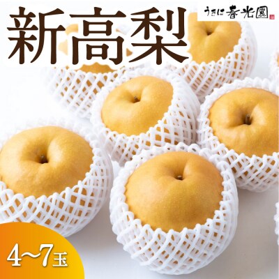 茨城県産梨幸水22玉 3箱 15キロ