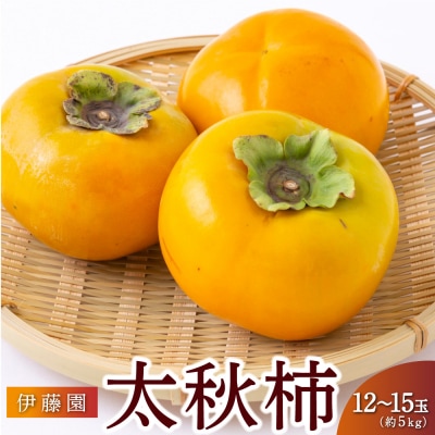 【先行受付】伊藤園 太秋柿 12玉から15玉 (約5kg)2025年10月中旬から10月下旬出荷予定