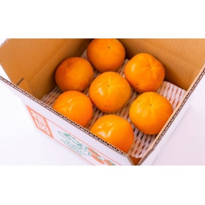 【先行受付】伊藤園 太秋柿 12玉から15玉 (約5kg)2025年10月中旬から10月下旬出荷予定
