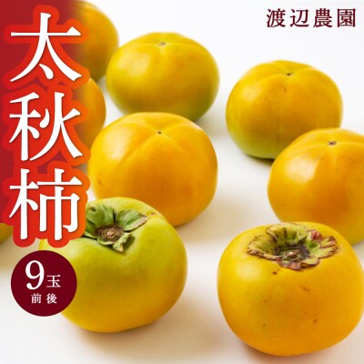 【先行受付】渡辺農園 太秋柿 9玉前後 2025年10月中旬から10月下旬 出荷予定