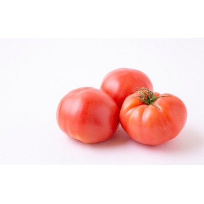 道の駅うきは 桃太郎トマト 12玉前後 (約2kg)