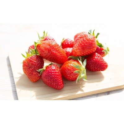 【4回定期便】よかもんいちご あまおう苺セット4パック