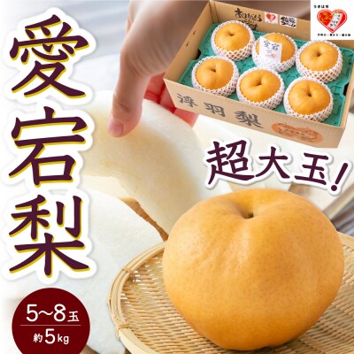佐藤ファーム 愛宕梨 5玉から8玉(約5kg)