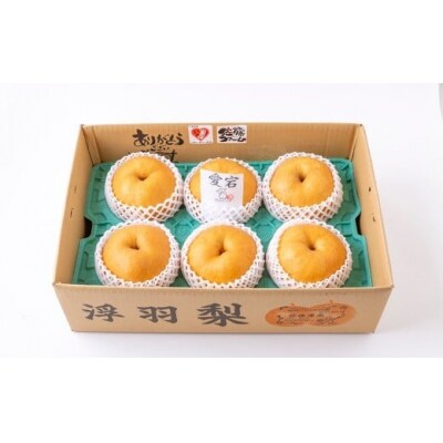 佐藤ファーム 愛宕梨 5玉から8玉(約5kg)