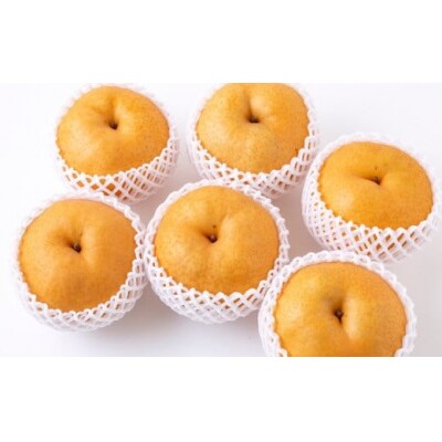 佐藤ファーム 愛宕梨 5玉から8玉(約5kg)