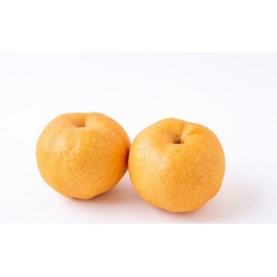 佐藤ファーム 愛宕梨 5玉から8玉(約5kg)