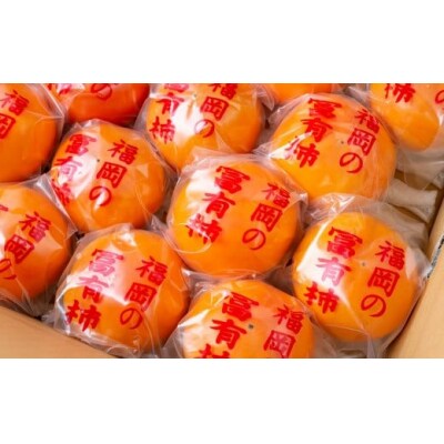 石井農園 冷蔵富有柿 9玉から12玉 