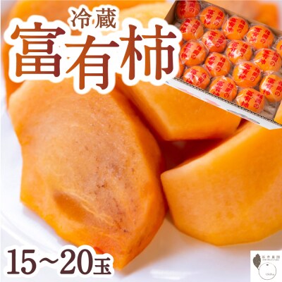 石井農園 冷蔵富有柿 15玉から20玉 