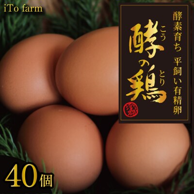 iTo farm 酵の鶏 40個