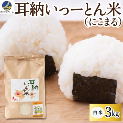 みずほファーム 耳納いっーとん米 (にこまる) 白米3kg  