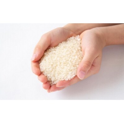 みずほファーム 耳納いっーとん米 (にこまる) 白米3kg  