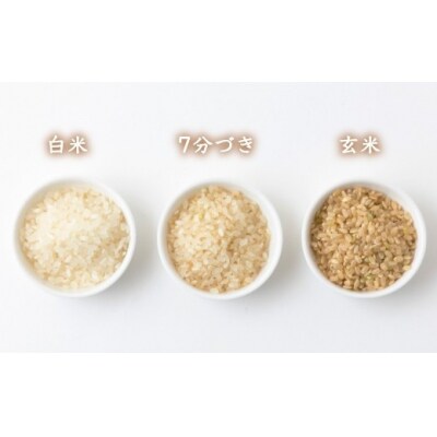 みずほファーム 耳納いっーとん米 (にこまる) 白米3kg  