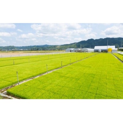 みずほファーム 耳納いっーとん米 (にこまる) 白米3kg  