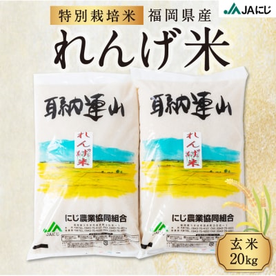 れんげ米・20kg・減農薬米 れんげ米 無農薬玄米 20kg】