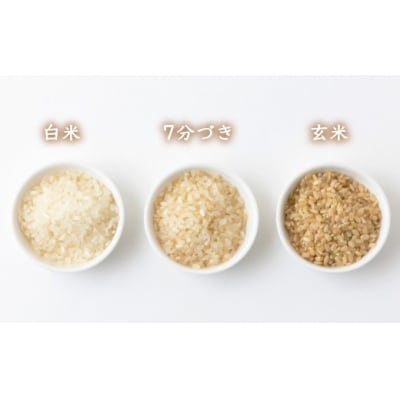 【定期便】みずほファーム 耳納いっーとん米(にこまる) 白米5kg×12ヶ月