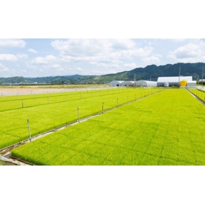 【定期便】みずほファーム 耳納いっーとん米(にこまる) 白米5kg×12ヶ月