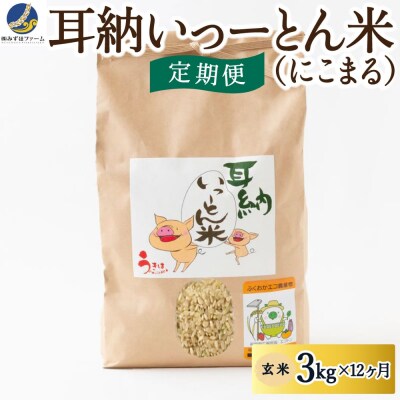 【定期便】みずほファーム 耳納いっーとん米(にこまる) 玄米3kg×12ヶ月