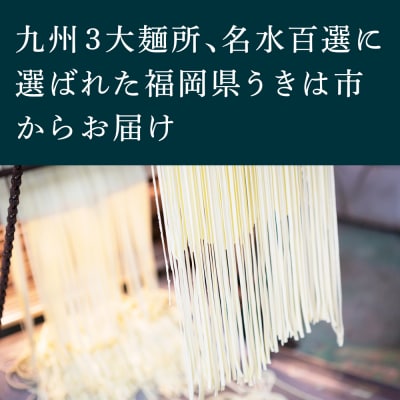 鳥志商店 麺匠 博多中華そばかぼす 12食　冷やし中華