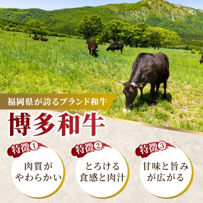 【3回定期便】小分け大容量 博多和牛 切り落とし 1kg (500g×2パック) 【馬庵このみ】