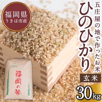 令和5年度米 ヒノヒカリ玄米 久留米市