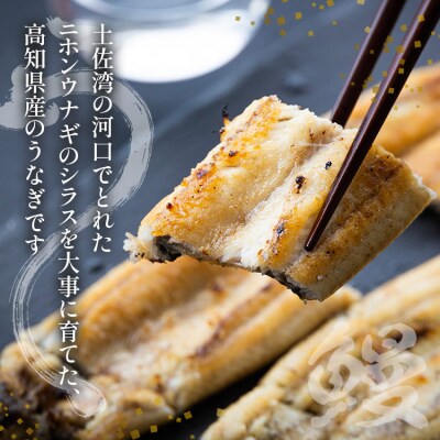 高知県産うなぎの白焼き 130～150g×1尾 エコ包装 国産 yw-0050