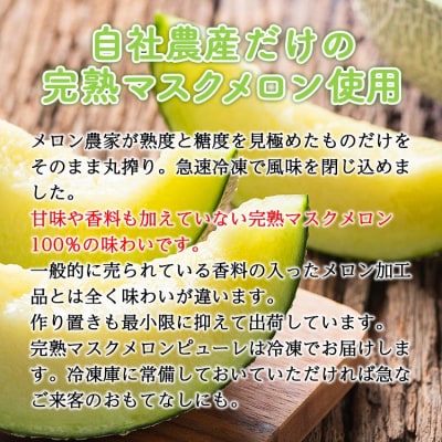 完熟マスクメロンピューレ tn-0007