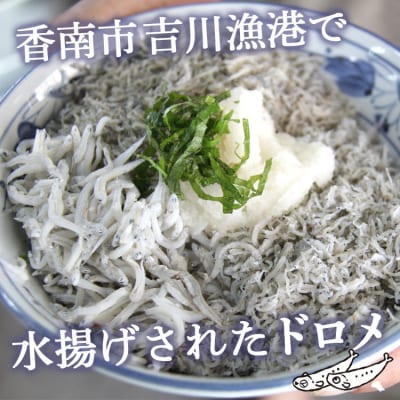 土佐名産 釜揚げしらす 合計1.5kg(約250g×6) tk-0013