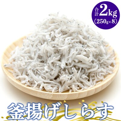 土佐名産 釜揚げしらす 合計2kg(約250g×8) tk-0014