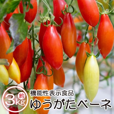 【先行受付】機能性表示食品 ミニトマト ゆうがたベーネ 3kg  is-0008