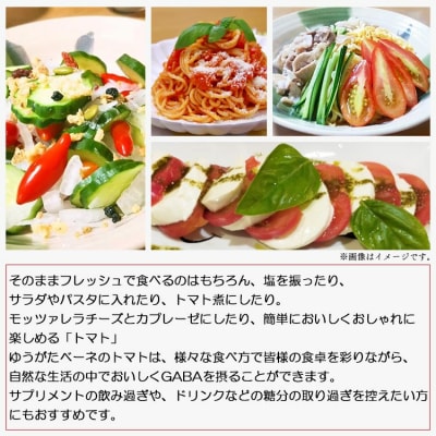 【先行受付】機能性表示食品 ミニトマト ゆうがたベーネ 3kg  is-0008