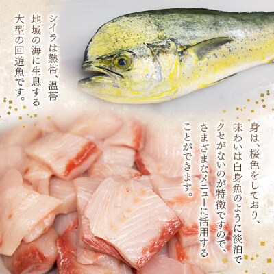 新鮮 シイラのすりみ(300g×3)・団子(300g×2) 合計1.5kg mt-0002