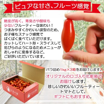 【先行受付】乙女の涙 スウィーティア ミニトマト 3kg is-0011