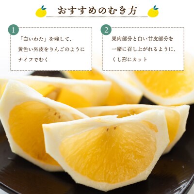 【2026年出荷】ハウス小夏(日向夏)約2.5kg(家庭用) 土佐の高知のくだもの畑 kd-0029